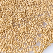 Grain, Wheat - Hard White - 1 Oz 500 Seeds - Triticum aestivum - Non-GMO, Open Pollinated - Farm & Garden Grain - Emergency Storage, Cover Crop