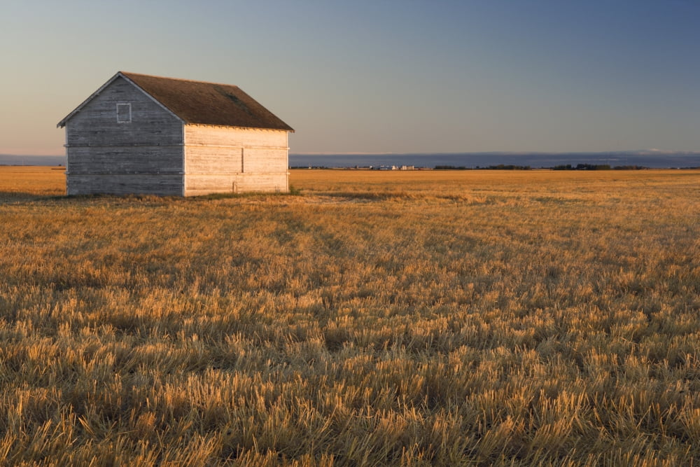Grainery Near Regina Saskatchewan Canada Canvas Art - Darwin Wiggett Design Pics (34 x 22)