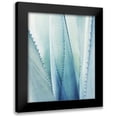 thumbnail image 1 of Grainne, Lupen 12x14 Black Modern Framed Museum Art Print Titled - Pale Blue Agave No. 1, 1 of 5