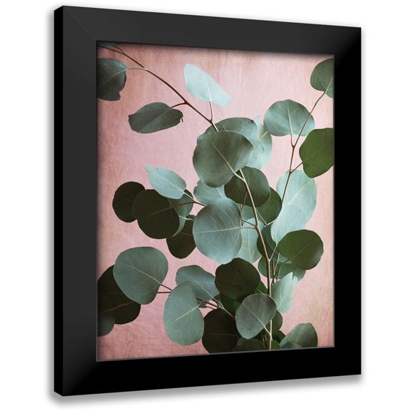 Grainne, Lupen 12x14 Black Modern Framed Museum Art Print Titled - Sage Eucalyptus No. 1