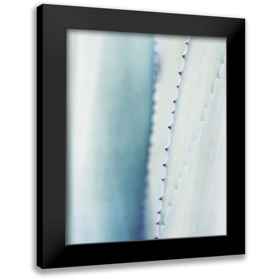 Grainne, Lupen 20x24 Black Modern Framed Museum Art Print Titled - Pale Blue Agave No. 2
