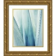 thumbnail image 1 of Grainne, Lupen 26x32 Gold Ornate Wood Framed with Double Matting Museum Art Print Titled - Pale Blue Agave No. 1, 1 of 4
