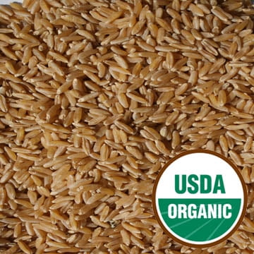 Grains BG13958 Grains Hrd Red Wntr Wht Berry - 1x25LB