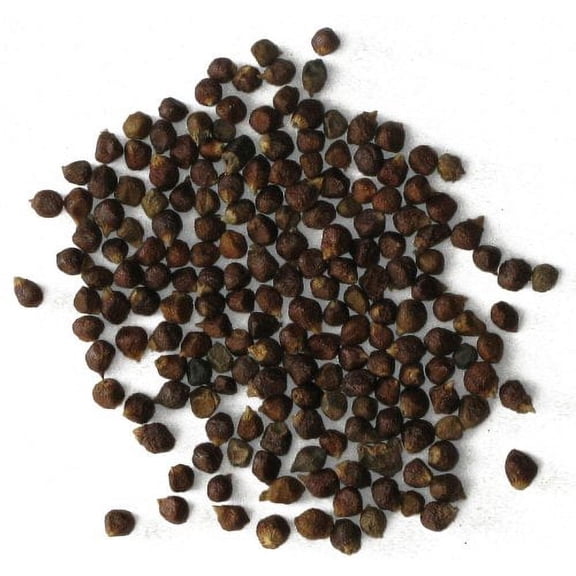 Grains of Paradise - Jar Holds 3.7 oz ( 104.9 grams )