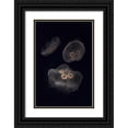 thumbnail image 1 of Grall, Don 11x14 Black Ornate Wood Framed with Double Matting Museum Art Print Titled - Tennessee, Chattanooga Moon jellyfish, 1 of 4