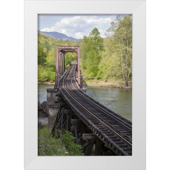 Grall, Don 11x14 White Modern Wood Framed Museum Art Print Titled - North Carolina Abandoned railroad trestle