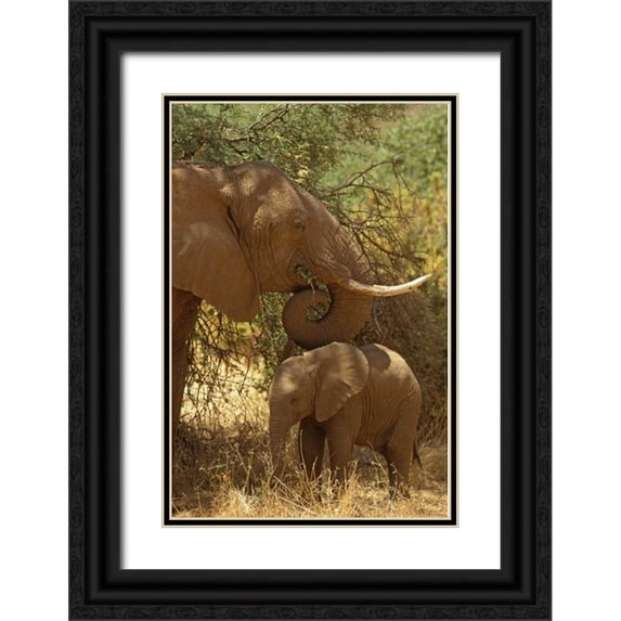 Grall, Don 13x18 Black Ornate Wood Framed with Double Matting Museum Art Print Titled - Kenya, Samburu NP African Elephant with her baby