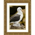 thumbnail image 1 of Grall, Don 13x18 Gold Ornate Wood Framed with Double Matting Museum Art Print Titled - New Island Black-browed albatross and chick, 1 of 4