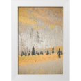 thumbnail image 1 of Grall, Don 13x18 White Modern Wood Framed Museum Art Print Titled - CO, San Juan Mts Spruce mixed with aspen, autumn, 1 of 4