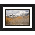 thumbnail image 1 of Grall, Don 14x11 Black Ornate Wood Framed with Double Matting Museum Art Print Titled - CO, Gunnison NF Aspens after a snowstorm, 1 of 4