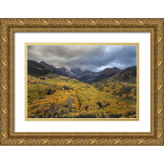 Grall, Don 14x11 Gold Ornate Wood Framed with Double Matting Museum Art Print Titled - CO, White River NF, Capitol Peak Valley Storm