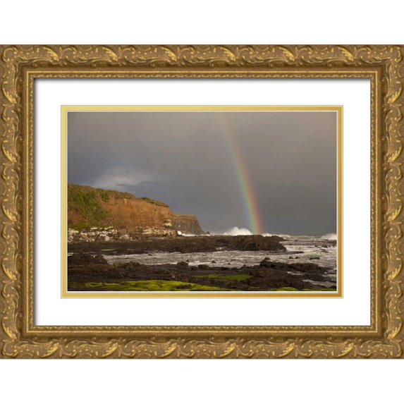 Grall, Don 14x11 Gold Ornate Wood Framed with Double Matting Museum Art Print Titled - New Zealand, South Island Rainbow over Curio Bay
