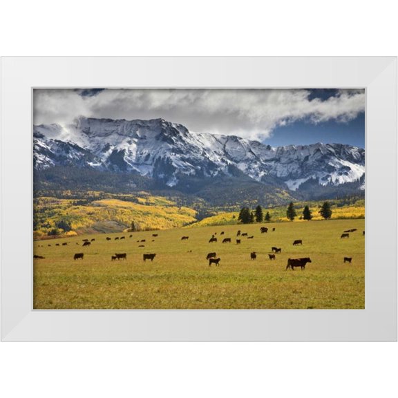 Grall, Don 14x11 White Modern Wood Framed Museum Art Print Titled - CO, Uncompahgre NF, Hastings Mesa Cattle grazing