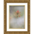 thumbnail image 1 of Grall, Don 17x24 Gold Ornate Wood Framed with Double Matting Museum Art Print Titled - CO, Pike NF Indian paintbrush in foggy meadow, 1 of 4
