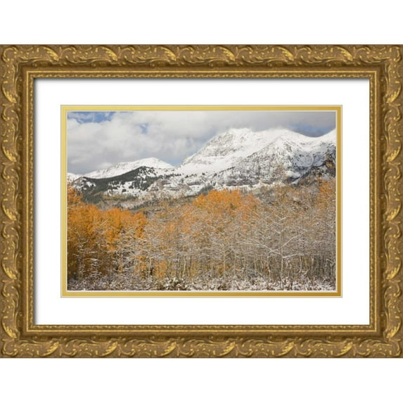 Grall, Don 18x13 Gold Ornate Wood Framed with Double Matting Museum Art Print Titled - CO, Gunnison NF Aspens after a snowstorm