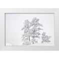 thumbnail image 1 of Grall, Don 18x13 White Modern Wood Framed Museum Art Print Titled - CO, Ute Pass Hoarfrost coats vegetation, 1 of 4