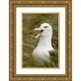 thumbnail image 1 of Grall, Don 23x32 Gold Ornate Wood Framed with Double Matting Museum Art Print Titled - New Island Black-browed albatross guards nest, 1 of 4