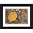 thumbnail image 1 of Grall, Don 24x17 Black Ornate Wood Framed with Double Matting Museum Art Print Titled - CO, Gunnison NF Aspen leaf and lichen on rock, 1 of 4
