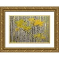 thumbnail image 1 of Grall, Don 24x17 Gold Ornate Wood Framed with Double Matting Museum Art Print Titled - CO, White River NF A stand of aspens in autumn, 1 of 4