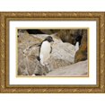 thumbnail image 1 of Grall, Don 24x17 Gold Ornate Wood Framed with Double Matting Museum Art Print Titled - New Island Rockhopper penguin in midair, 1 of 4