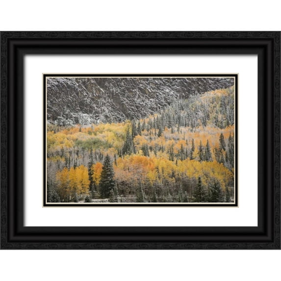 Grall, Don 32x23 Black Ornate Wood Framed with Double Matting Museum Art Print Titled - Colorado, San Juan Mountains Autumn snowfall
