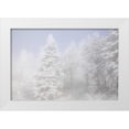 thumbnail image 1 of Grall, Don 32x23 White Modern Wood Framed Museum Art Print Titled - Colorado, Pike NF Trees with hoarfrost in fog, 1 of 4