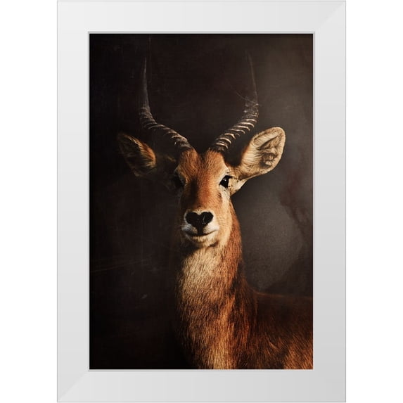 Grambone, Antonio 13x18 White Modern Wood Framed Museum Art Print Titled - Untitled