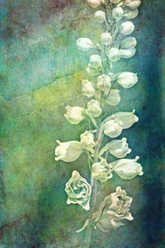 Grammas Garden Canvas Art - Roberta Murray (12 x 18)