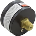 thumbnail image 1 of American Granby IPPG6024B 0.25" MPT Back Pressure Gauge, 1 of 3