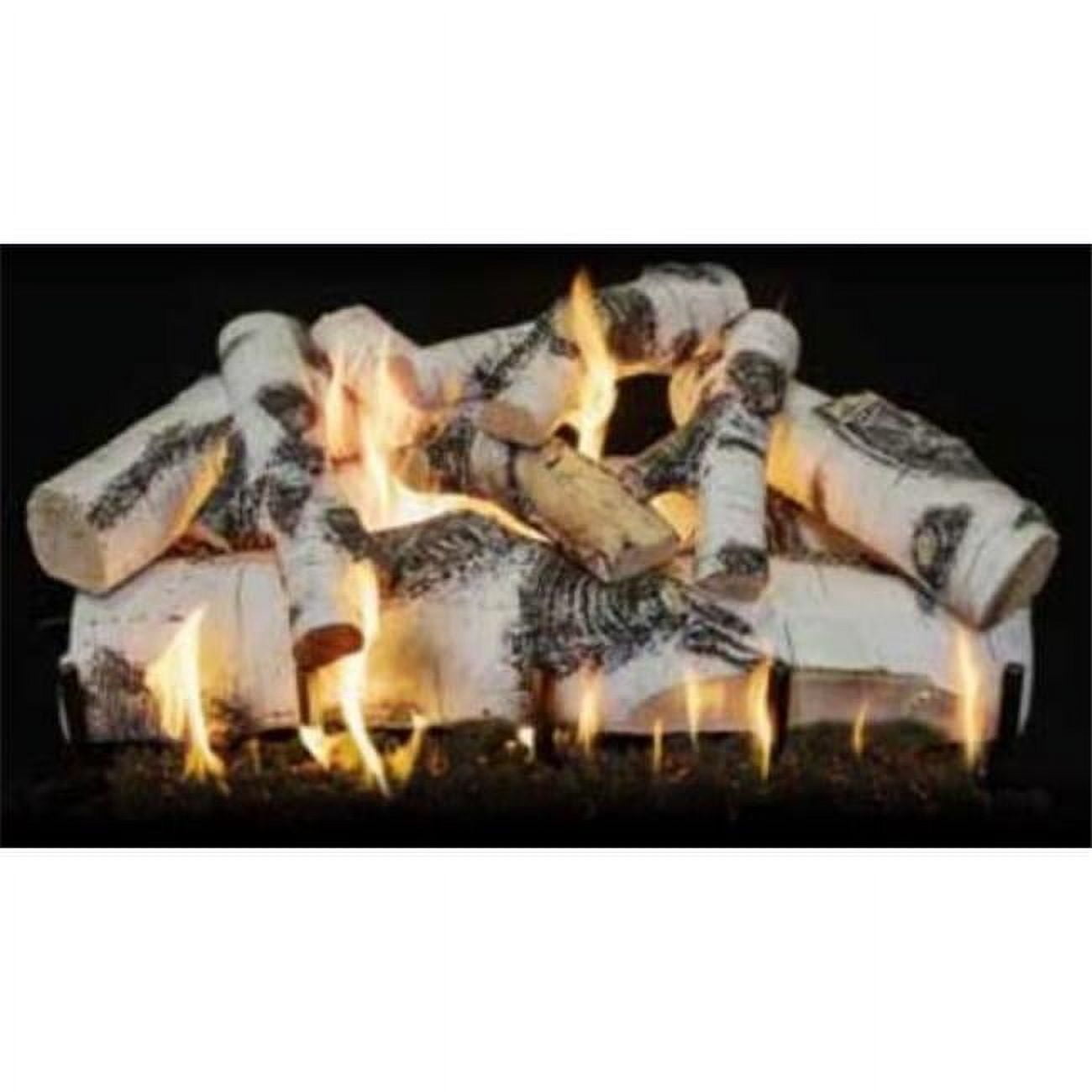 Grand Canyon ASPENST48LOGS 48 in. Quaking Aspen See-Through Log Set ...