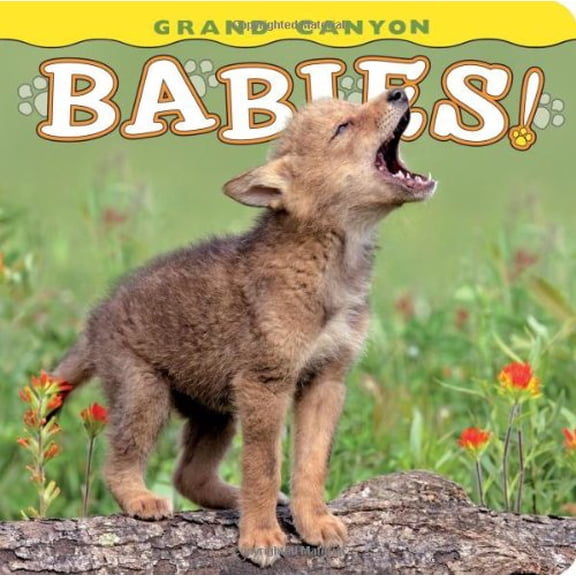 Pre-Owned Grand Canyon Babies! (Board book) 1560375078 9781560375074