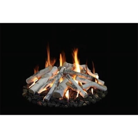 Grand Canyon FPASP-18-24 18 - 48 in. Aspen Birch Outdoor Fire Pit Gas Logs - 9 Piece