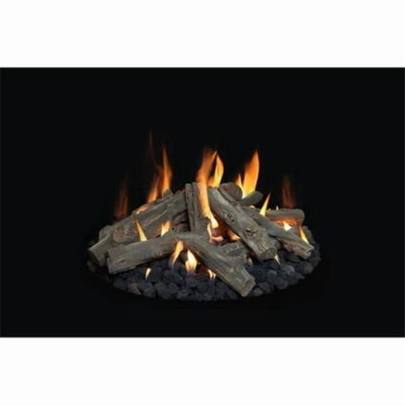 Grand Canyon FPWD-18-24 18 & 24 in. Western Driftwood Outdoor Fire Pit Gas Logs - 9 Piece
