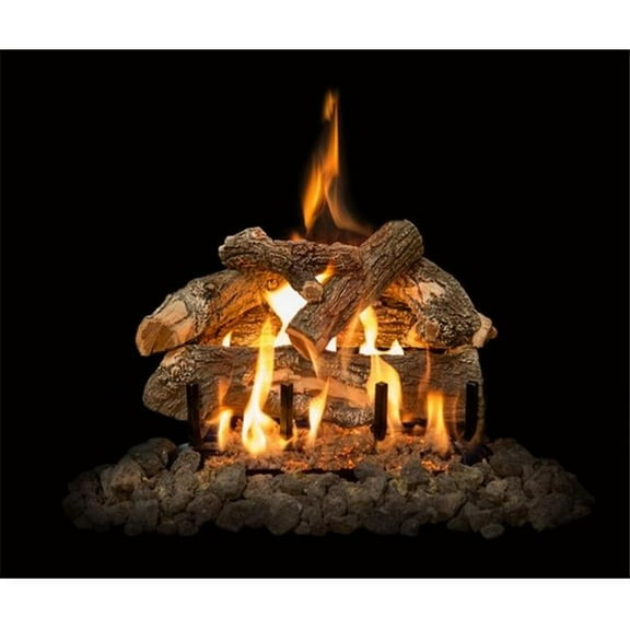 Grand Canyon Gas Logs  Arizona Weathered Oak See-Through Logs, 18 in.