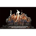 thumbnail image 1 of Grand Canyon LAFV-24-VEP 24 in. Lava Front View Propane Variable Electronic Ignition Burner, 1 of 1
