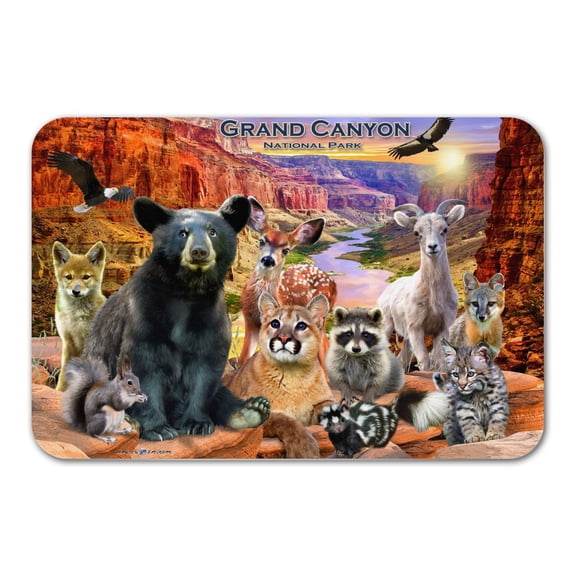 Grand Canyon National Park Arizona AZ Animals Cougar Bear Deer Raccoon Home Business Office Sign