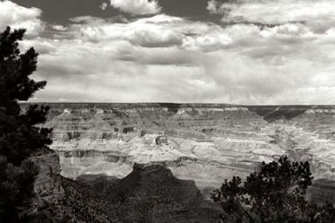 Grand Canyon Skies BW Canvas Art - Douglas Taylor (24 x 36)