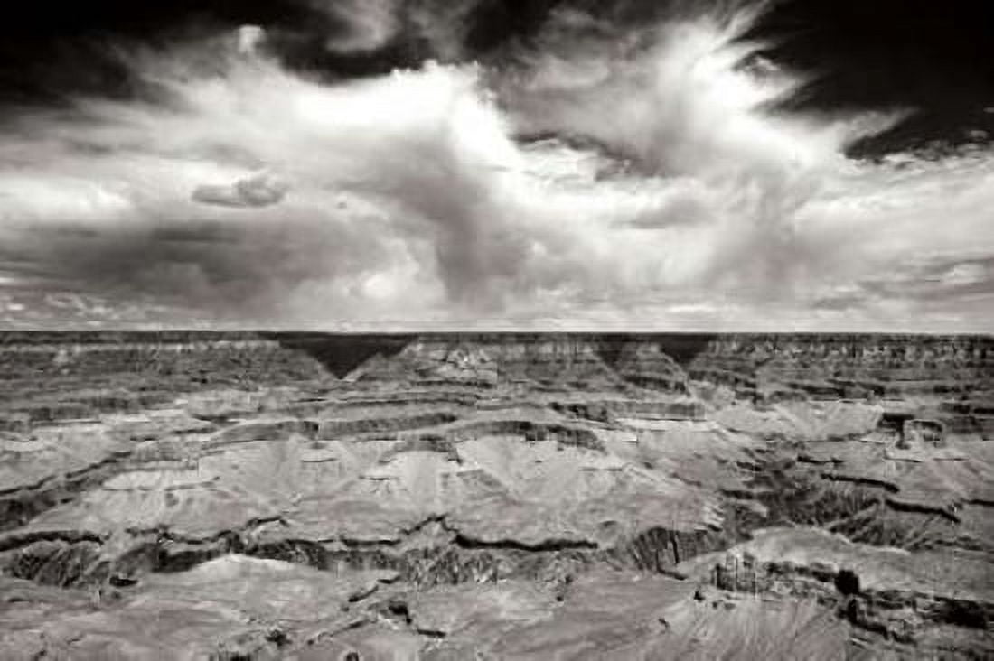 Grand Canyon Winds BW Canvas Art - Douglas Taylor (24 x 36)