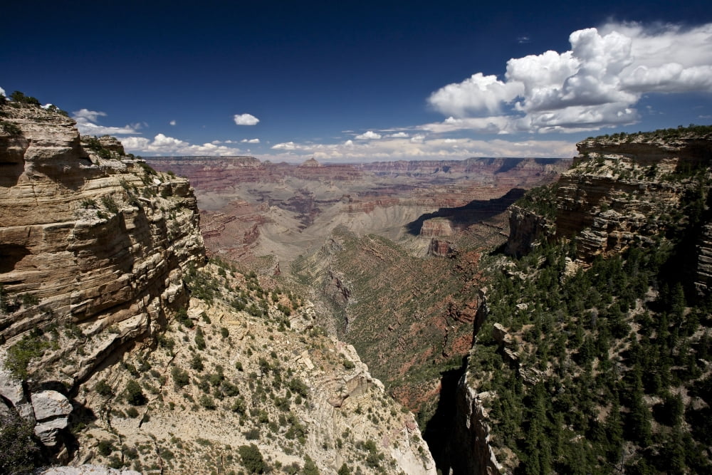 Grand Canyon as seen from Pipe Creek Vista on the South Rim Arizona Canvas Art - Terry MooreStocktrek Images (35 x 23)