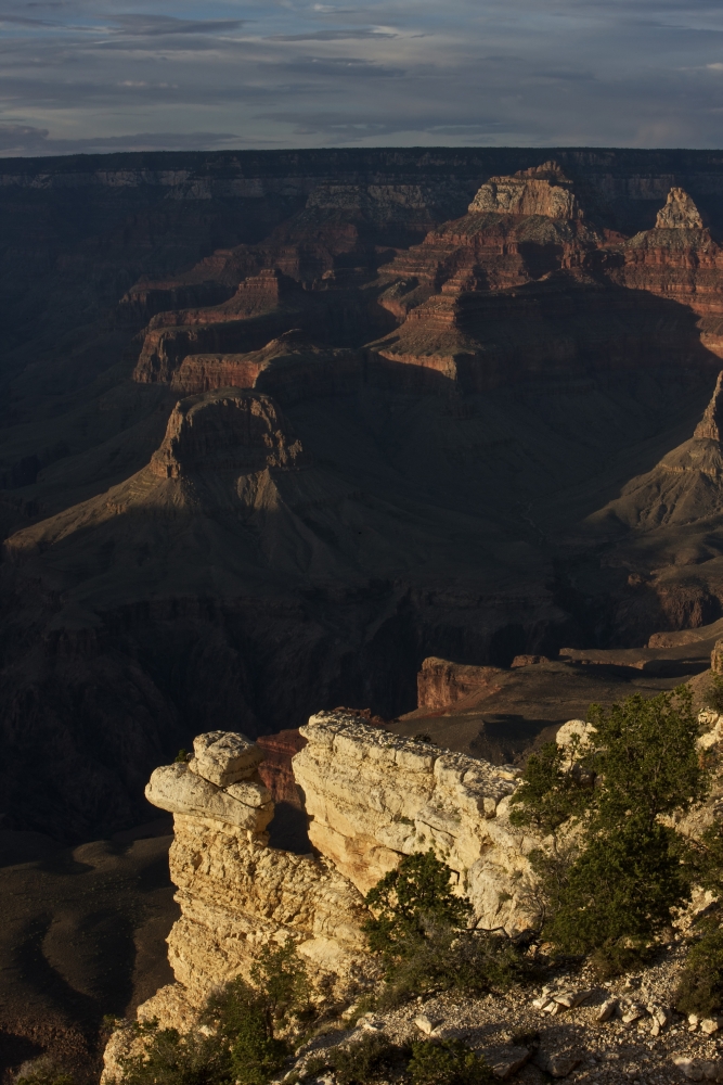 Grand Canyon as seen from Yavapai Point on the South Rim Arizona Canvas Art - Terry MooreStocktrek Images (23 x 35)