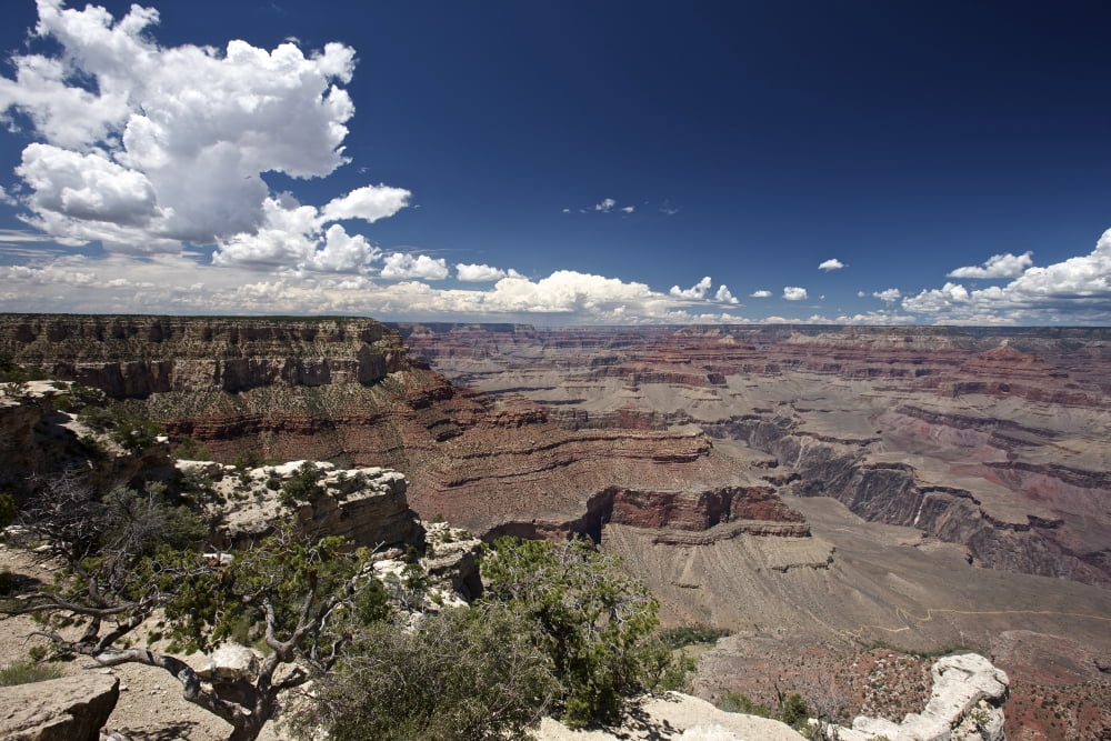 Grand Canyon as seen from Yavapai Point on the South Rim Arizona Canvas Art - Terry MooreStocktrek Images (35 x 23)
