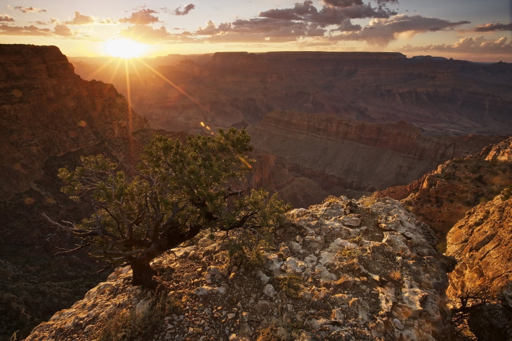 Grand Canyon west of Lipan Point Arizona Canvas Art - Terry MooreStocktrek Images (35 x 23)