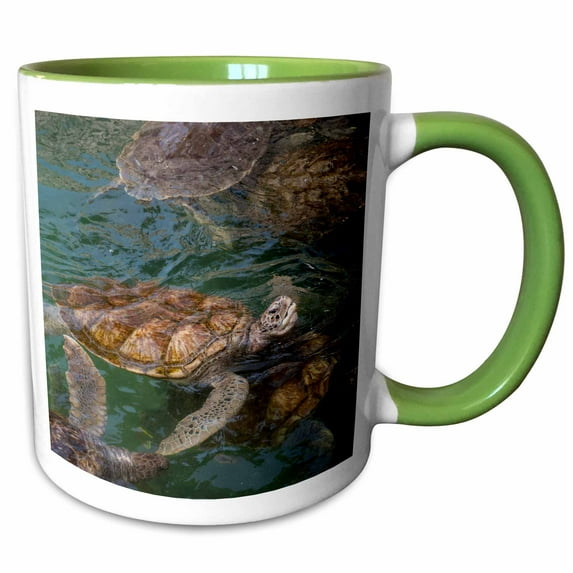 3drose, Grand Cayman, Turtle Farm, Green Sea Turtle - Ca42 Jen0002 - Jim Engelbrecht, 11oz Two-tone Green Mug
