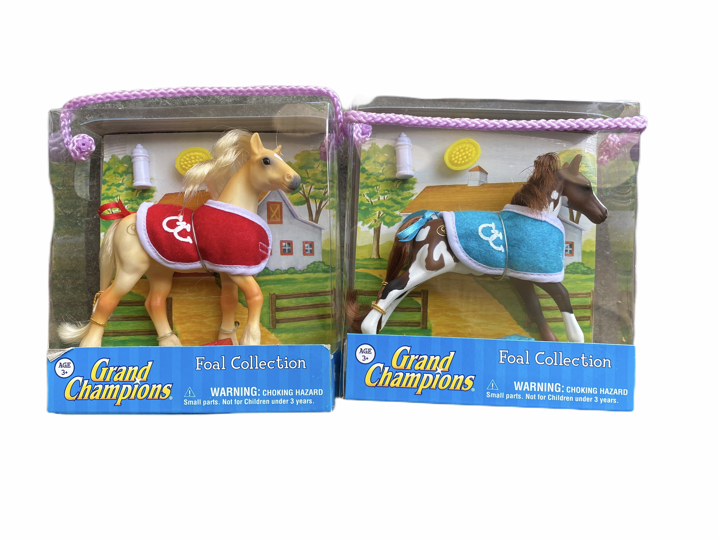 Grand Champion Horse