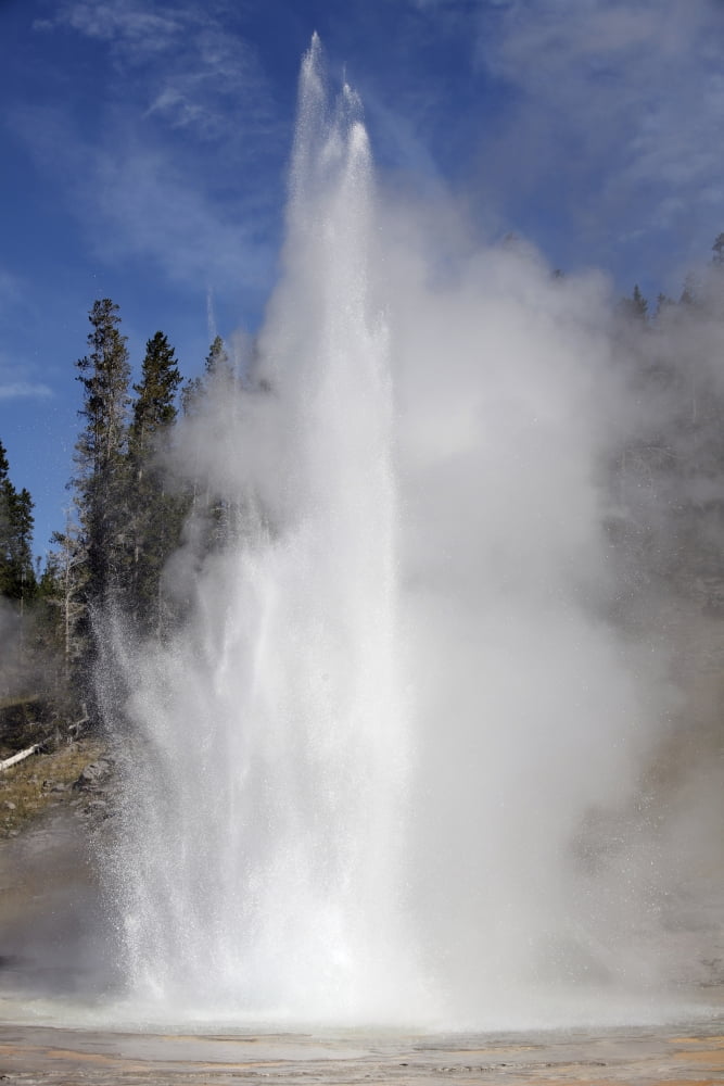 Grand Geyser erupting Upper Geyser Basin geothermal area Yellowstone National Park Canvas Art - Richard RoscoeStocktrek Images (23 x 35)