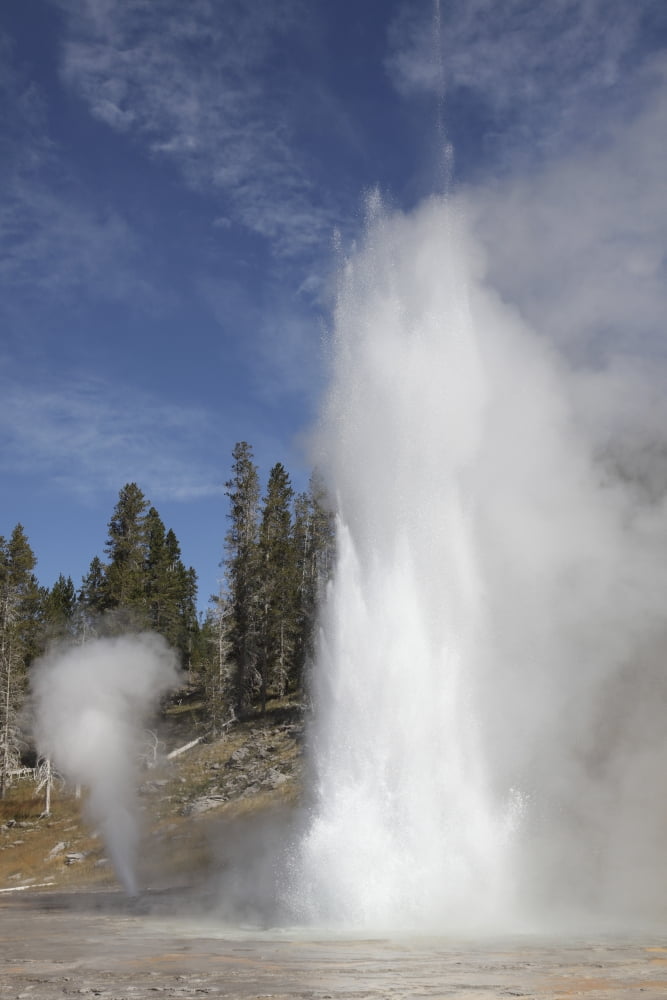 Grand Geyser erupting Upper Geyser Basin geothermal area Yellowstone National Park Canvas Art - Richard RoscoeStocktrek Images (23 x 35)