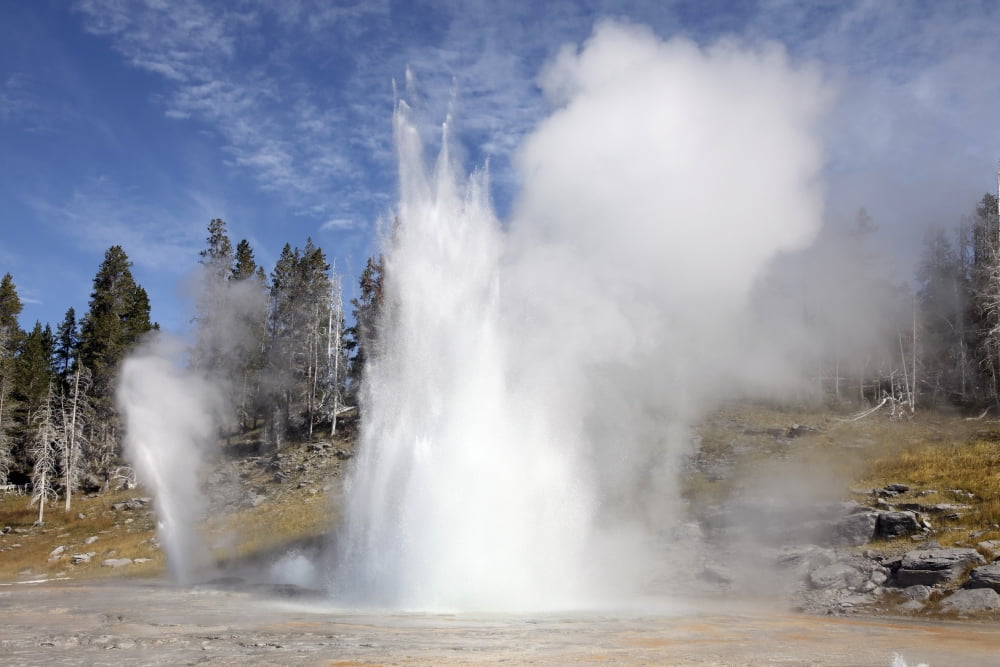 Grand Geyser erupting Upper Geyser Basin geothermal area Yellowstone National Park Canvas Art - Richard RoscoeStocktrek Images (35 x 23)