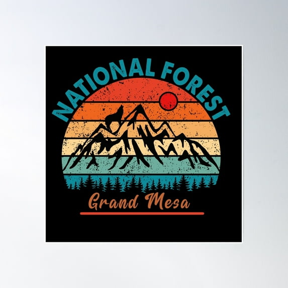 Grand Mesa National Forest Poster Wall Art, Modern Wall Decor, 24x24 UNFRAMED