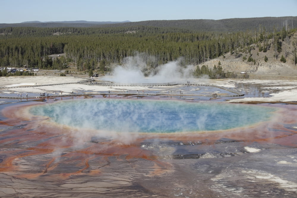Grand Prismatic Spring Midway Geyser Basin geothermal area Yellowstone National Park Wyoming Canvas Art - Richard RoscoeStocktrek Images (35 x 23)