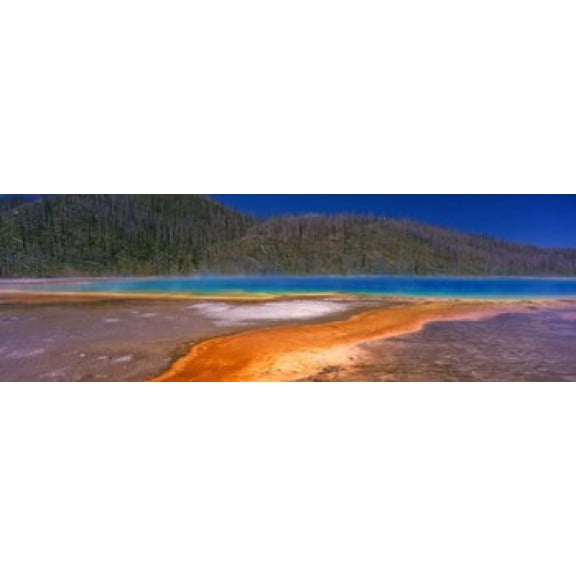 Grand Prismatic Spring Yellowstone National Park Wyoming USA Canvas Art - Panoramic Images (36 x 12)